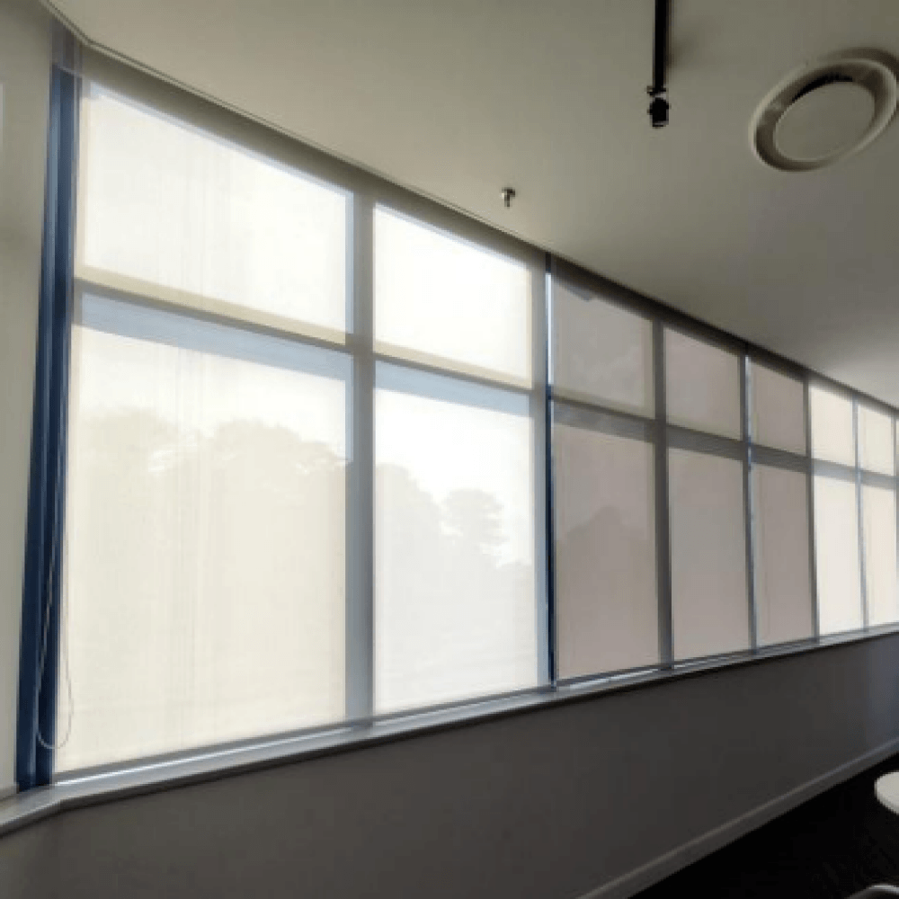 9 sunray roller blinds office